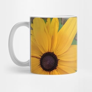 Daisy Mug